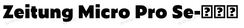 Zeitung Micro Pro Se字体转换